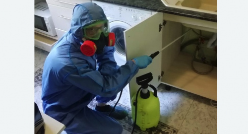 Уничтожение муравьев в квартире. Русско-Высоцкое