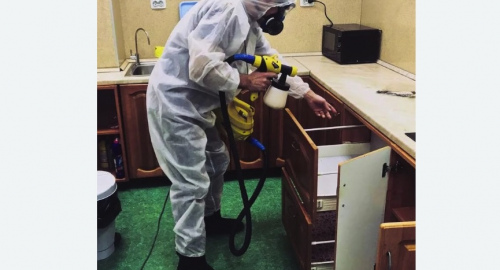 Уничтожение насекомых в квартире. Русско-Высоцкое