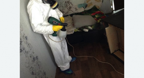 Обработка квартир от насекомых в Русско-Высоцком