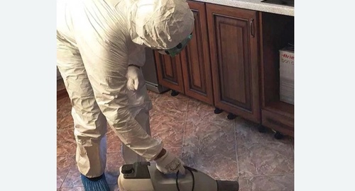Уничтожение тараканов в квартире. Русско-Высоцкое