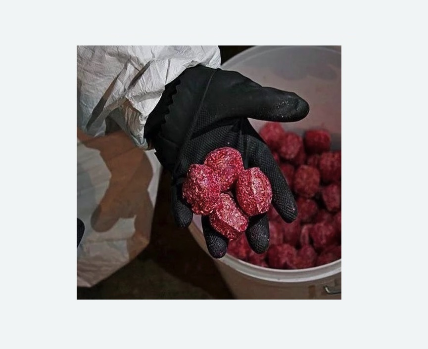 Обработка от крыс в Русско-Высоцком