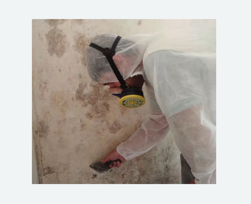 Обработка стен от плесени Обработка стен от плесени в Русско-Высоцком