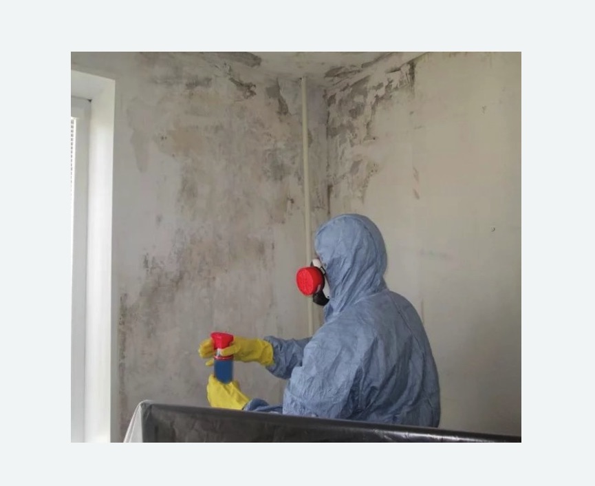Удаление плесени в квартире Удаление плесени в квартире в Русско-Высоцком
