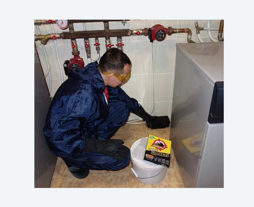 Уничтожение крыс в Русско-Высоцком