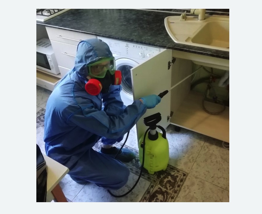 обработка от муравьев в квартире в Русско-Высоцком