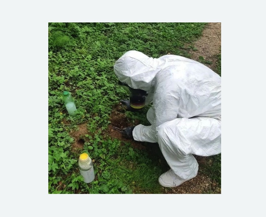 уничтожение кротов на участке в Русско-Высоцком