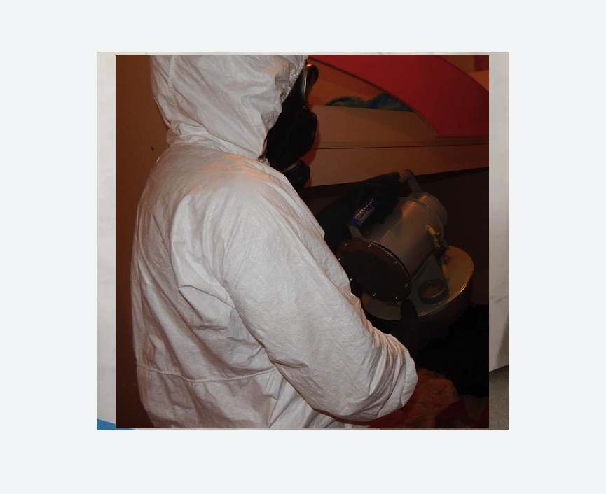 Дезинфекция от муравьев в Русско-Высоцком