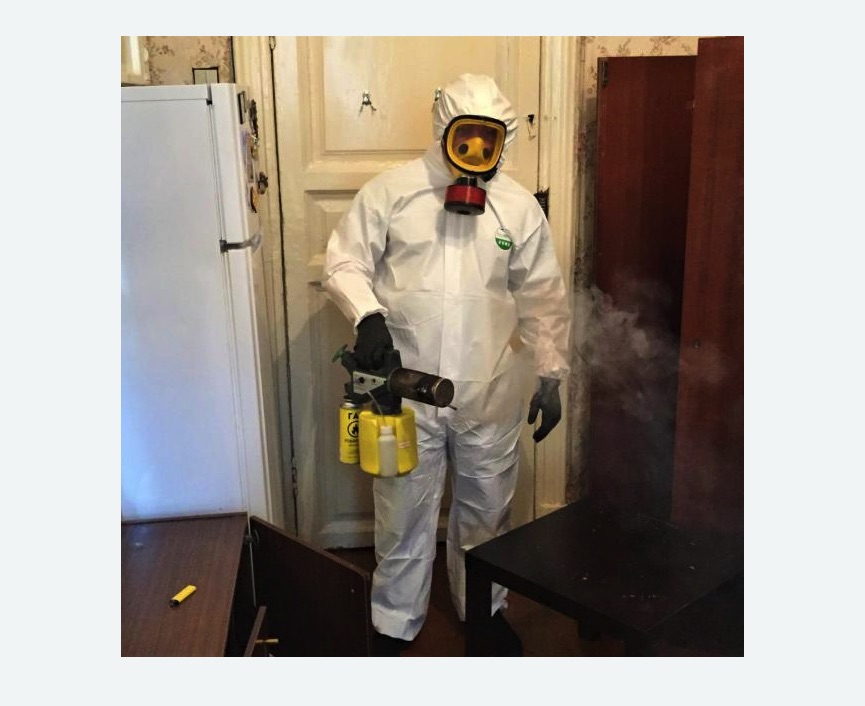 уничтожение муравьев в квартире в Русско-Высоцком